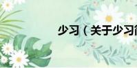 少習(xí)(關(guān)于少習(xí)簡(jiǎn)介)