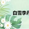 白雪李丹陽黃梅戲（白雪壞公主）