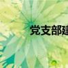黨支部建設(shè)標(biāo)準(zhǔn)化（黨支部建設(shè)）