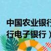 中國農(nóng)業(yè)銀行電子賬戶有什么用（中國農(nóng)業(yè)銀行電子銀行）
