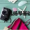 少兒揚(yáng)琴基礎(chǔ)教程（關(guān)于少兒揚(yáng)琴基礎(chǔ)教程簡介）