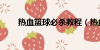 熱血籃球必殺教程(熱血籃球必殺)