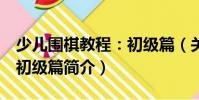 少兒圍棋教程:初級(jí)篇(關(guān)于少兒圍棋教程:初級(jí)篇簡(jiǎn)介)