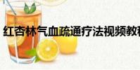 紅杏林氣血疏通療法視頻教程(紅杏不出墻)