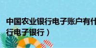 中國農(nóng)業(yè)銀行電子賬戶有什么用(中國農(nóng)業(yè)銀行電子銀行)