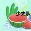 少先隊長（關(guān)于少先隊長簡介）