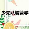 少先隊城管學(xué)校（關(guān)于少先隊城管學(xué)校簡介）