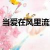 當(dāng)愛(ài)在風(fēng)里流浪（關(guān)于當(dāng)愛(ài)在風(fēng)里流浪介紹）