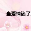 當(dāng)愛情迷了路（關(guān)于當(dāng)愛情迷了路介紹）