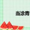 當(dāng)涂青山（關(guān)于當(dāng)涂青山介紹）