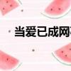 當(dāng)愛(ài)已成網(wǎng)事（關(guān)于當(dāng)愛(ài)已成網(wǎng)事介紹）