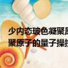 少內(nèi)態(tài)玻色凝聚原子的量子操控與混沌（關(guān)于少內(nèi)態(tài)玻色凝聚原子的量子操控與混沌簡介）