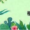 格仔美甲（格仔店）