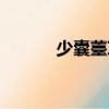 少囊薹草（關(guān)于少囊薹草簡介）