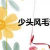 少頭風(fēng)毛菊（關(guān)于少頭風(fēng)毛菊簡(jiǎn)介）