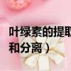 葉綠素的提取和分離實(shí)驗(yàn)圖片（葉綠素的提取和分離）