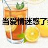 當(dāng)愛情迷惑了我（關(guān)于當(dāng)愛情迷惑了我介紹）