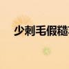少刺毛假糙蘇（關(guān)于少刺毛假糙蘇簡介）