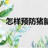 怎樣預(yù)防豬腦炎鏈球菌（怎樣預(yù)防豬流感）