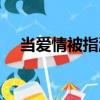 當(dāng)愛情被指派（關(guān)于當(dāng)愛情被指派介紹）