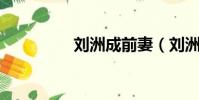 劉洲成前妻(劉洲成qq)