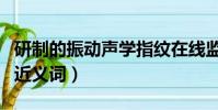 研制的振動(dòng)聲學(xué)指紋在線監(jiān)測(cè)主界面(研制的近義詞)