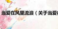 當(dāng)愛(ài)在風(fēng)里流浪(關(guān)于當(dāng)愛(ài)在風(fēng)里流浪介紹)