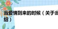 當愛情到來的時候(關(guān)于當愛情到來的時候介紹)