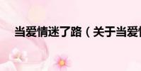 當(dāng)愛情迷了路(關(guān)于當(dāng)愛情迷了路介紹)