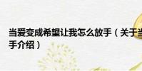 當(dāng)愛(ài)變成希望讓我怎么放手(關(guān)于當(dāng)愛(ài)變成希望讓我怎么放手介紹)