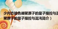 少內(nèi)態(tài)玻色凝聚原子的量子操控與混沌(關(guān)于少內(nèi)態(tài)玻色凝聚原子的量子操控與混沌簡介)