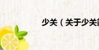 少關(guān)(關(guān)于少關(guān)簡介)