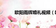 歐陽雨輝婚禮視頻(歐陽雨輝)
