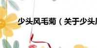 少頭風(fēng)毛菊(關(guān)于少頭風(fēng)毛菊簡(jiǎn)介)