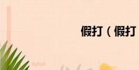 假打(假打)