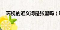 環(huán)視的近義詞是張望嗎(環(huán)視的近義詞)