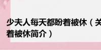 少夫人每天都盼著被休(關(guān)于少夫人每天都盼著被休簡(jiǎn)介)
