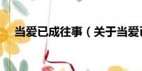 當(dāng)愛(ài)已成往事(關(guān)于當(dāng)愛(ài)已成往事介紹)