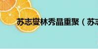 蘇志燮林秀晶重聚(蘇志燮 林秀晶)