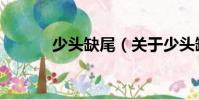 少頭缺尾(關(guān)于少頭缺尾簡(jiǎn)介)