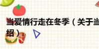 當(dāng)愛情行走在冬季(關(guān)于當(dāng)愛情行走在冬季介紹)