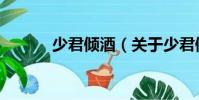 少君傾酒(關(guān)于少君傾酒簡介)