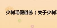 少刺毛假糙蘇(關(guān)于少刺毛假糙蘇簡介)
