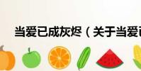 當(dāng)愛(ài)已成灰燼(關(guān)于當(dāng)愛(ài)已成灰燼介紹)