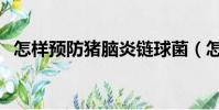 怎樣預(yù)防豬腦炎鏈球菌(怎樣預(yù)防豬流感)