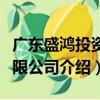 廣東盛鴻投資有限公司（關(guān)于廣東盛鴻投資有限公司介紹）