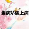 當病嬌遇上病嬌（關(guān)于當病嬌遇上病嬌介紹）