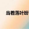 當(dāng)著落葉紛飛（關(guān)于當(dāng)著落葉紛飛介紹）