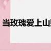 當(dāng)玫瑰愛上山賊（關(guān)于當(dāng)玫瑰愛上山賊介紹）