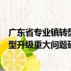 廣東省專業(yè)鎮(zhèn)轉(zhuǎn)型升級(jí)重大問題研究（關(guān)于廣東省專業(yè)鎮(zhèn)轉(zhuǎn)型升級(jí)重大問題研究介紹）